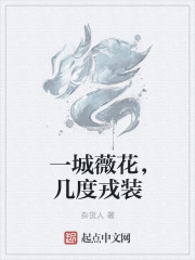 一城薇花，几度戎装